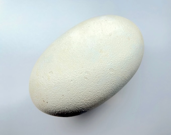 工芸品  birds festive mistle thrush egg Mistle Thrush #2 Replica Bird Egg - Etsy