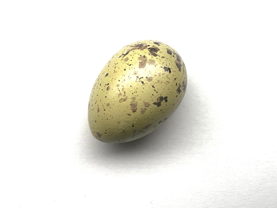 Blue Jay Replica Bird Egg Etsy