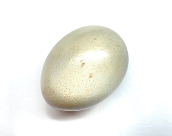 Mistle Thrush #2 Replica Bird Egg - Etsy