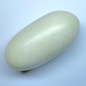 May include: A smooth, oblong, off-white object with a slightly textured surface. The shape is similar to a large pill or a small egg. The object has small, subtle imperfections.