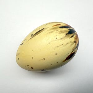Könnte beinhalten: Ein einzelnes, oval geformtes Ei mit cremefarbener, gelber Grundfarbe. Das Ei ist mit dunkelbraunen und schwarzen Pinselstrichen und kleinen Sprenkeln verziert, was ein natürliches, künstlerisches Aussehen erzeugt. Das Ei ist vor einem schlichten, weißen Hintergrund platziert.