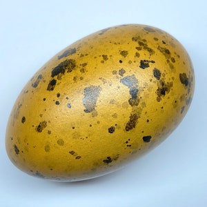 May include: An oval-shaped egg with a golden-yellow colour and dark brown speckles. The egg has a smooth, glossy surface. The background is plain white.
