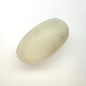 Könnte beinhalten: Ein hellfarbiges, oval geformtes Objekt mit leicht strukturierter Oberfläche. Das Objekt hat kleine, dunkle Flecken auf seiner Oberfläche. Der Hintergrund ist schlicht weiß.