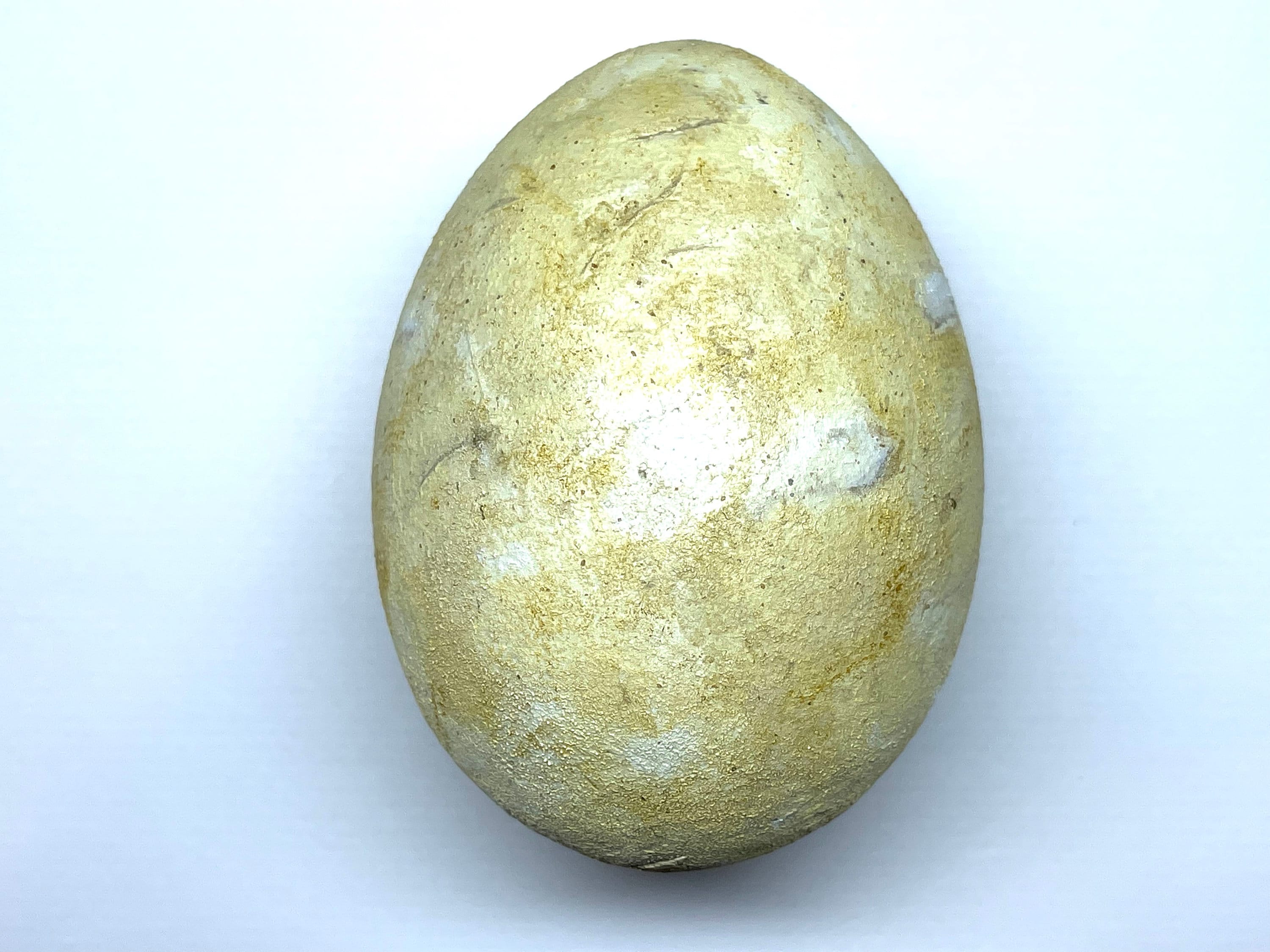 オイバツィカのガラス製鳥は卵 オイバツィカのガラス製鳥は卵 オイバツィカのガラス製鳥は卵