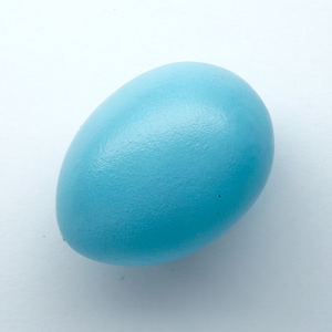 American Robin Replica Bird Egg