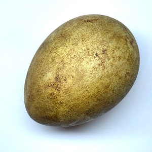 Könnte beinhalten: Ein großes, oval geformtes Dekorationsei mit strukturierter Oberfläche. Das Ei hat ein gesprenkeltes Aussehen mit Gold- und Brauntönen. Das Objekt befindet sich vor einem schlichten weißen Hintergrund.
