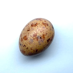 工芸品  birds festive mistle thrush egg Mistle Thrush #1 Replica Bird Egg - Etsy Ireland