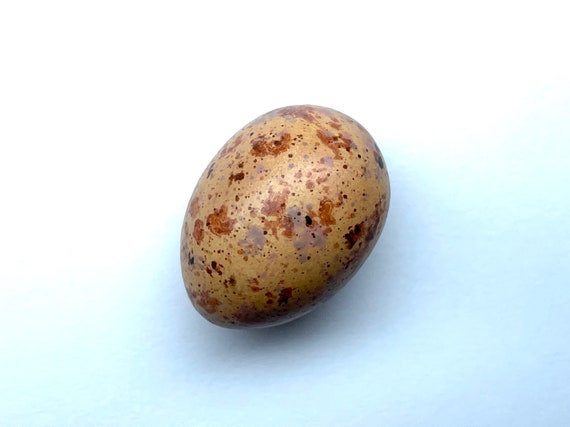 工芸品  birds festive mistle thrush egg Mistle Thrush #1 Replica Bird Egg - Etsy