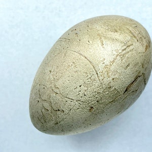 May include: A light beige, oval-shaped stone with a textured surface. The stone has subtle markings and a natural, weathered appearance. The object is smooth and appears to be a decorative item or a natural artifact.
