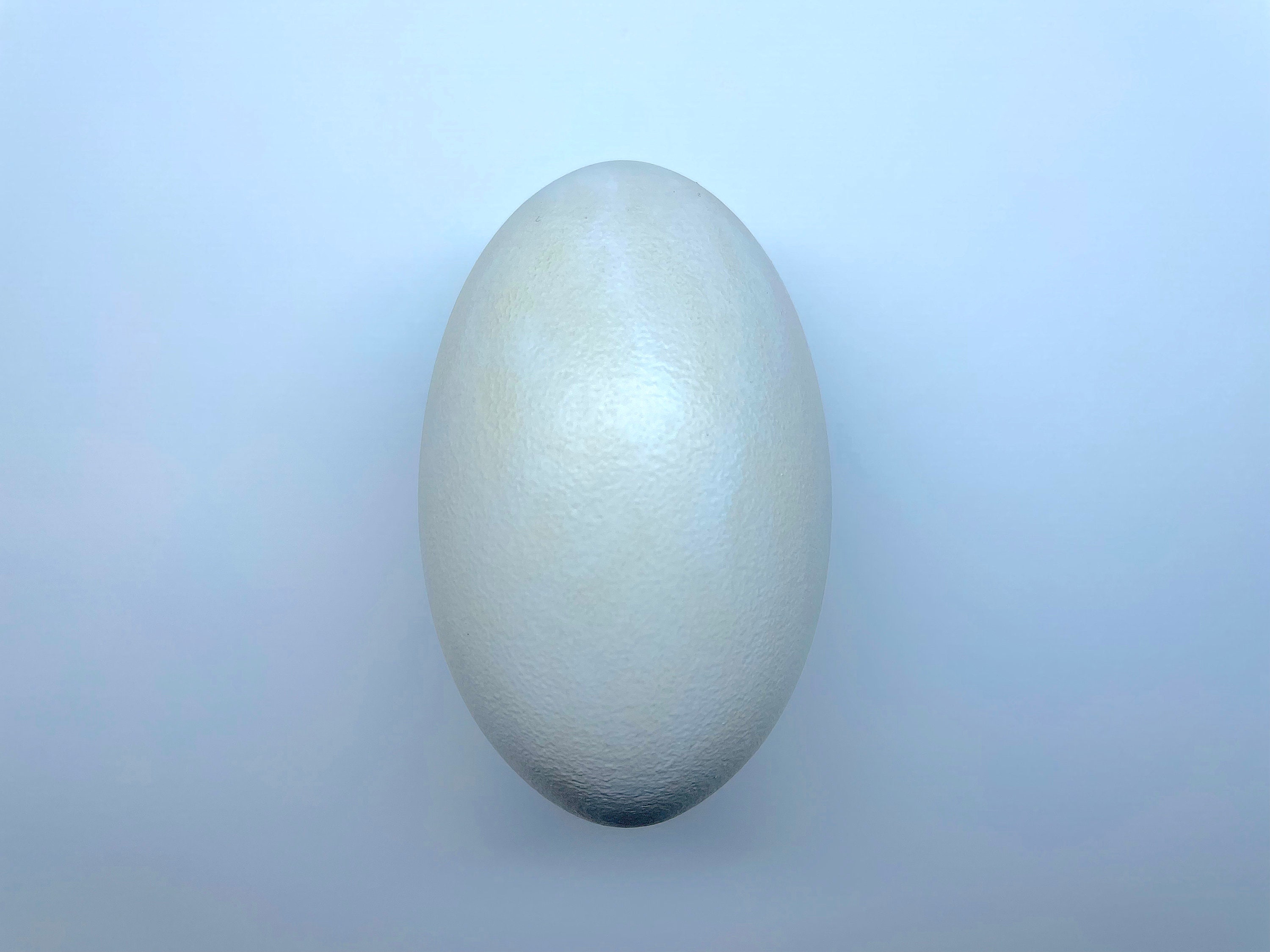 American Crocodile Replica Reptile Egg - Etsy