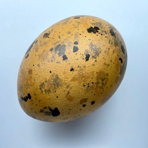 May include: An oval-shaped egg with a golden-brown colour, speckled with dark grey and black spots. The egg has a slightly textured surface and is set against a plain white background. The egg's appearance is natural.