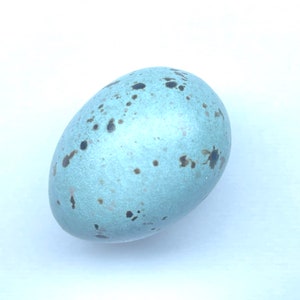 Mistle Thrush #2 Replica Bird Egg - Etsy Finland