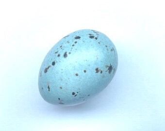 工芸品  birds festive mistle thrush egg il_340x270.3591835706_3217.jpg