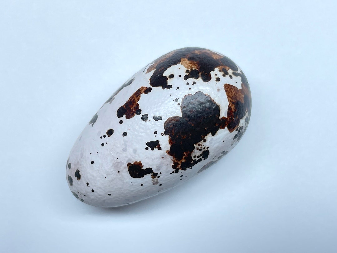 Archaeopteryx Lithographica Replica Dinosaur Egg Etsy