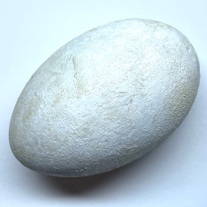 May include: An oval-shaped stone with a textured, metallic silver finish. The stone has a natural, organic form and is set against a white background. The surface reflects light, creating highlights and shadows.