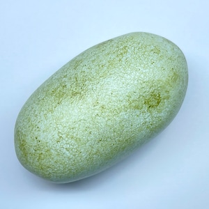 May include: An oblong-shaped fruit, pale green in colour with darker green markings, set against a white background. The textured surface of the fruit is visible. The shape is similar to a cucumber or a pawpaw, with a natural appearance.