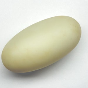May include: A single, oblong egg with a smooth, off-white surface. The egg is a pale, creamy color and appears to be freshly laid. The egg is set against a plain white background.