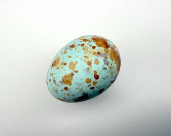 Song Thrush Replica Bird Egg - Etsy