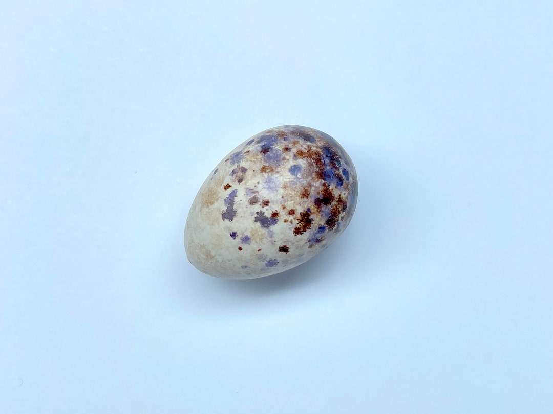 Oahu Amakihi Replica Bird Egg Etsy