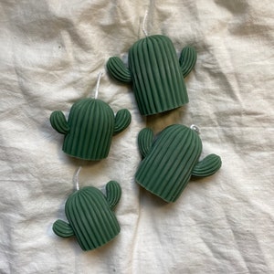 cactus kaarsen cactus candles cactussen cactuses vegan ecofriendly afbeelding 3