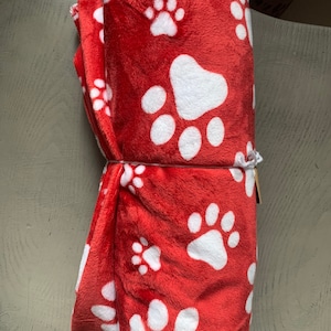 Shannon Fabrics Cuddle in Paws