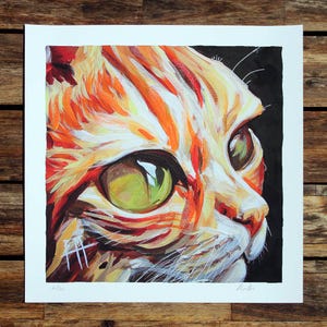 Renaud Le Chat (stampa giclée su carta, ritratto di animale, primo piano, viso, muso, occhi arancioni e verdi, soriano, bianco, baffi)