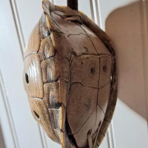 May include: A decorative turtle shell, likely repurposed as a unique art piece or ornament. The shell is a warm brown color with a textured surface and several small holes. It is mounted on a wooden dowel.