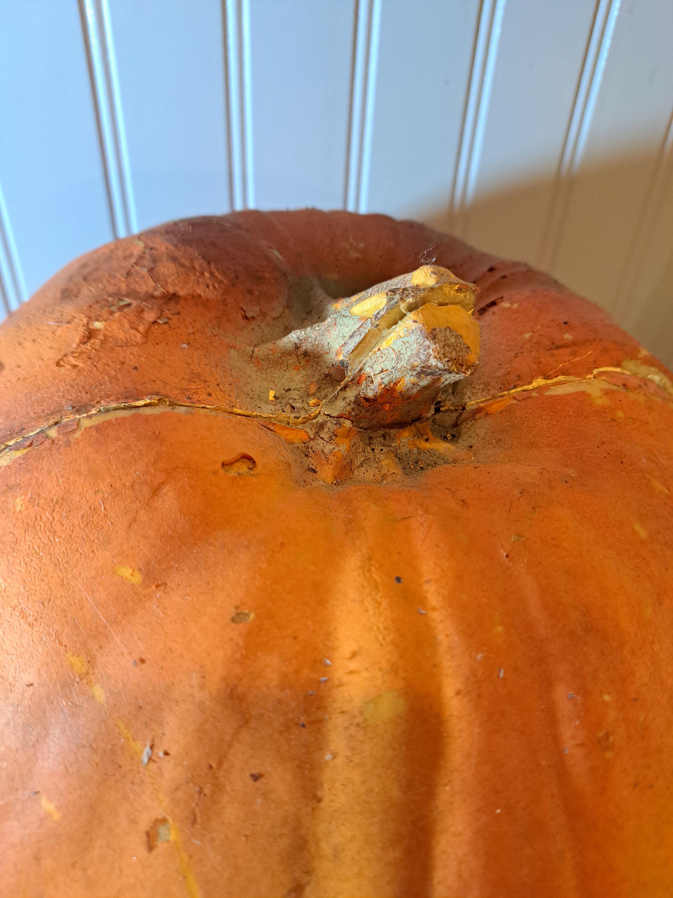 1993 Trendmasters Blow Mold Foam Pumpkin JOL - Etsy
