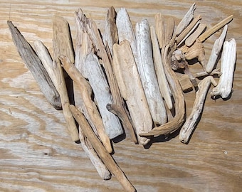 Lake Superior Driftwood Lot