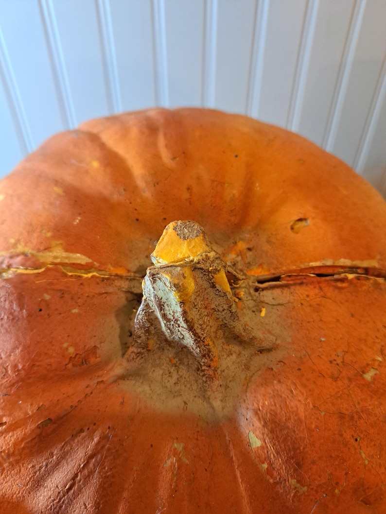 1993 Trendmasters Blow Mold Foam Pumpkin JOL - Etsy