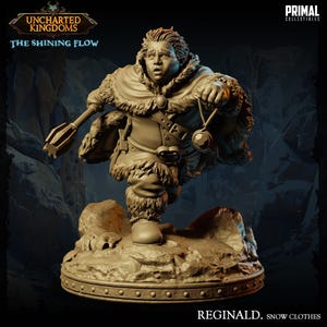 May include: A detailed figurine of Reginald in snow clothes, from Uncharted Kingdoms. The figure is in a dynamic pose, holding a mace and a pocket watch. The base is a rocky terrain. The text "The Shining Flow" is visible.