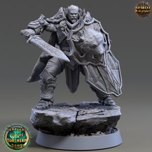 Peut inclure: Figurine miniature détaillée d'un guerrier en armure ornée, tenant une épée et un bouclier. Le bouclier représente une tête de loup. La figurine est sur une base rocheuse. Le texte "Templars of the Northern Lights" est visible.