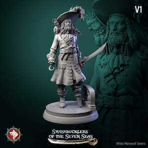 Peut inclure: Figurine de pirate grise avec une main en crochet, une épée et un chapeau à plumes. La figurine est sur une base ronde avec le texte "Swashbucklers of the Seven Seas". Un perroquet est sur l'épaule du pirate.
