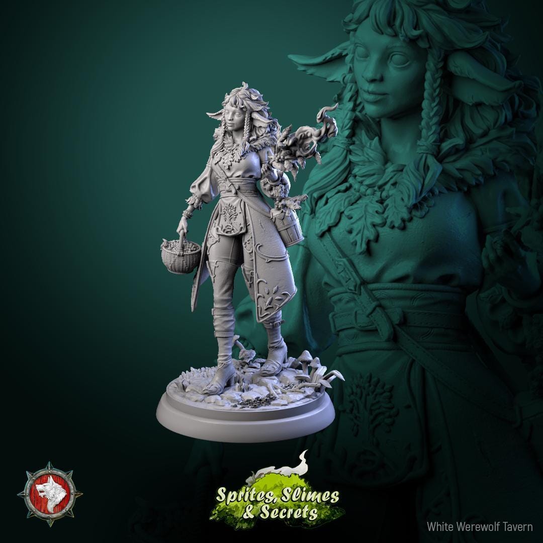 Shael Silverheart - Forest Elf Healer Miniature for Dnd, DSA ...