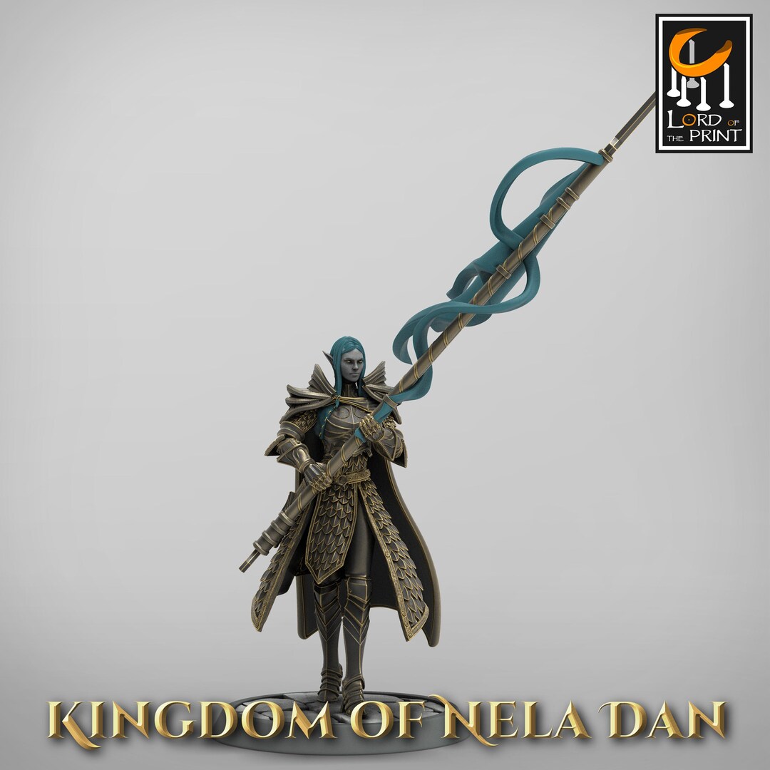 Elf Soldier Banner Walk- Miniature for Dnd, DSA, Pathfinder- 28 Mm, 32 ...