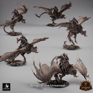 Könnte beinhalten: Mehrere Miniaturfiguren von geflügelten Kreaturen mit Reitern. Die Figuren sind in verschiedenen Posen, mit detaillierten Flügeln und Reitern. Die Figuren stehen auf Sockeln, und der Text "Wings of the Untamed" ist sichtbar.