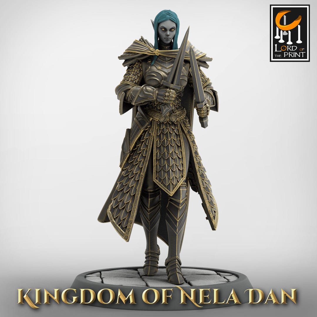 Elf Soldier Dual Dagger Walk - Miniature for Dnd, DSA, Pathfinder ...