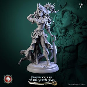 Puede incluir: Figura de pirata gris detallada, con sombrero de tres picos y espada. La figura lleva un abrigo largo y pantalones, con un mono en el hombro. La base dice "SWASHBUCKLERS OF THE SEVEN SEAS."
