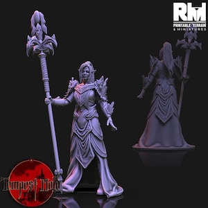 Peut inclure: Miniature imprimée en 3D d'un personnage féminin fantastique, tenant un bâton. La figurine porte une armure ornée et une robe fluide. L'image comprend une seconde vue de la figurine de dos. Le logo "Printable Terrain & Miniatures" est visible.