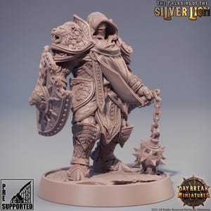 May include: A detailed miniature figure of a knight in full armor, holding a spiked mace and shield. The armor features lion head designs on the shoulders and shield. The figure is on a circular base. The text "THE PALADINS OF THE SILVER LION" is visible.