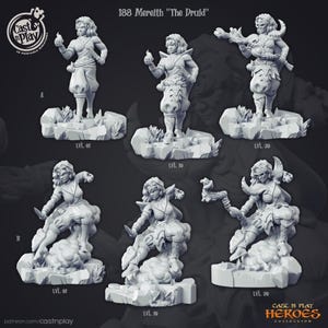 Druiden Mereith - Miniatyr för DnD, DSA, Pathfinder - 28 mm, 32 mm, Figur med Bas - Heroes Collections 1 - Cast n Play