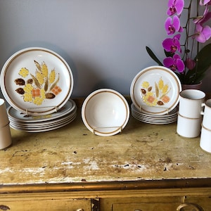 Vintage Piccadilly Pattern Stoneware Dishes