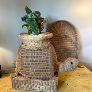 May include: A woven wicker turtle-shaped storage basket with a lid, featuring a turtle head and flipper details. A round wicker tray and a small brass planter with a plant are also visible.