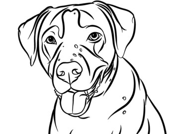 Custom Half Body Pet Line Art Drawing, Digital Pet Portrait from Photo, Detailed Dog Cat Face Drawing, All Animals