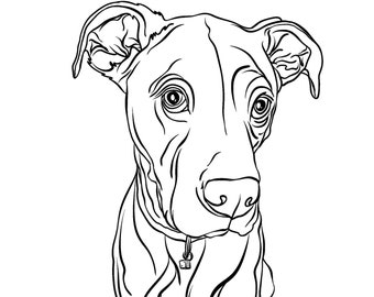 Outline Pet Drawing, Minimalist Line Art Commission, Custom Digital Pet Portrait, Personalised Illustration, Recreated Dog Cat Cartoon