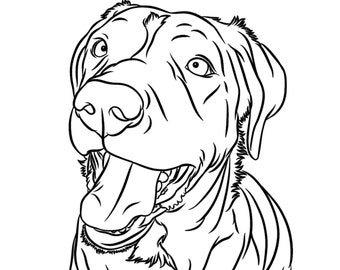 Custom Pet Line Art Portrait: Dog/Cat Ink Drawing (Digital)