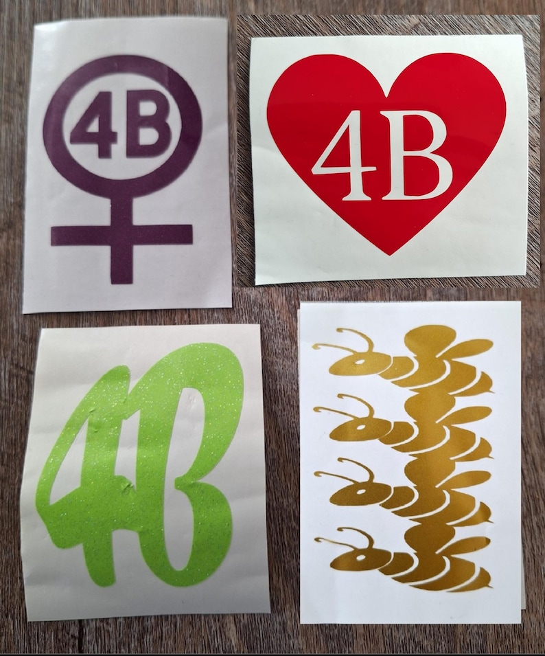 4B Movement Vinyl Decal Feminist Stickers 4 CHOICES South Korea Korean 4b movement HOLOGRAPHIC, Glitter & Colors w/Multiple sizes image 1