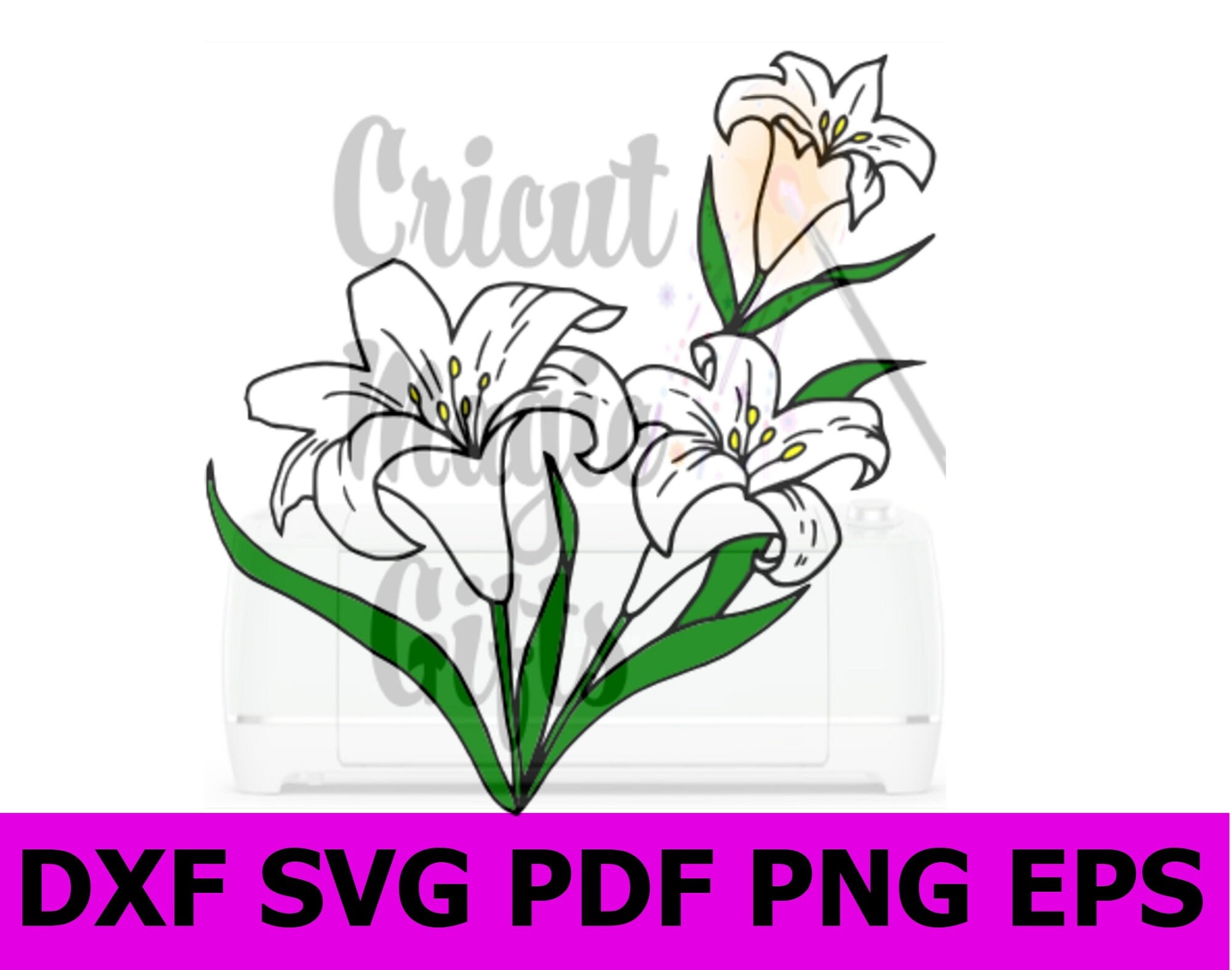 Lily Flower SVG Easter Lily Flower Lilies Cuttable Design PNG - Etsy