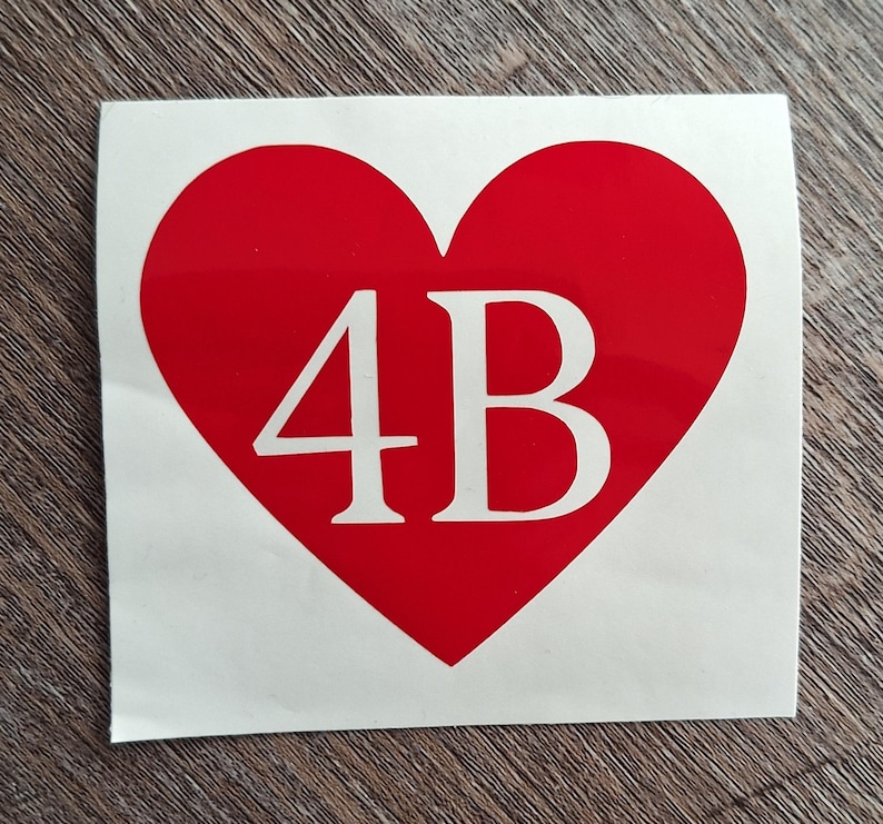 4B Movement Vinyl Decal Feminist Stickers 4 CHOICES South Korea Korean 4b movement HOLOGRAPHIC, Glitter & Colors w/Multiple sizes Heart