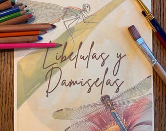 Libelulas y Damiselas curriculo de actividades en español. dragonflies and Damselflies Spanish curriculum